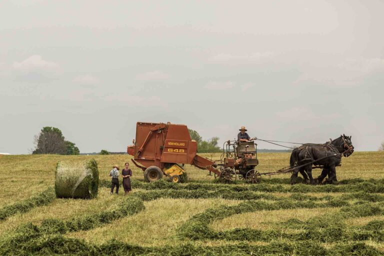 person-plant-hay-field-farm-prairie-6247-pxhere.com